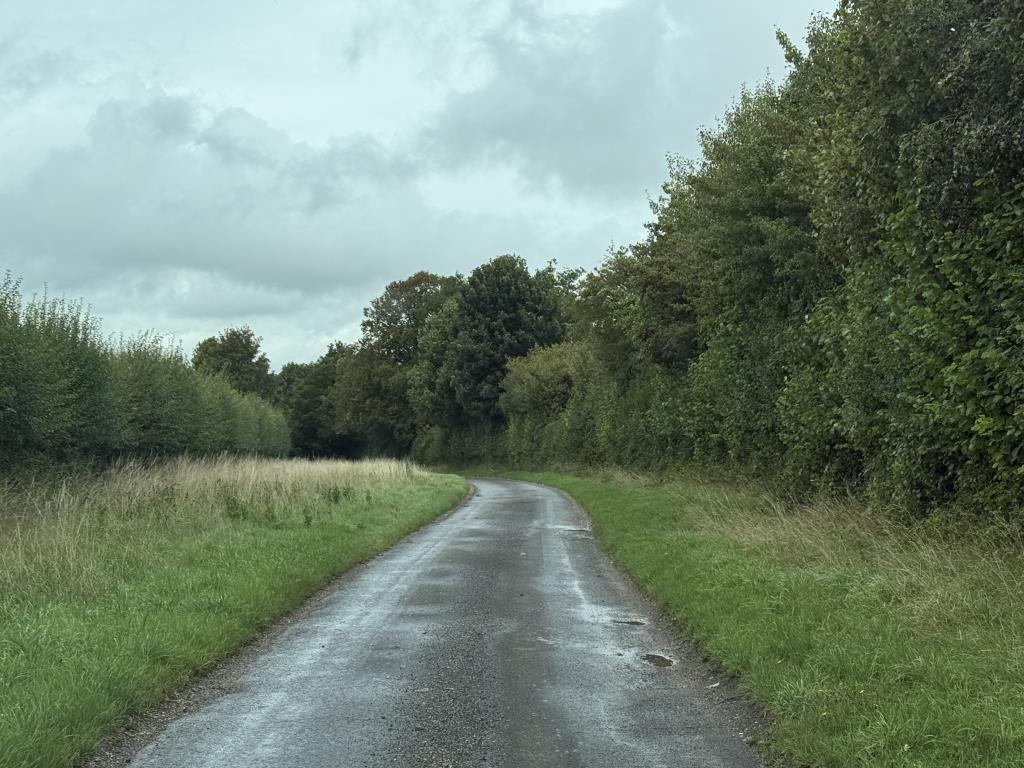Lot: 60 - FREEHOLD INTEREST IN VARIOUS SMALL PARCELS OF LAND AND COUNTRY ROADWAYS - View along lane in country